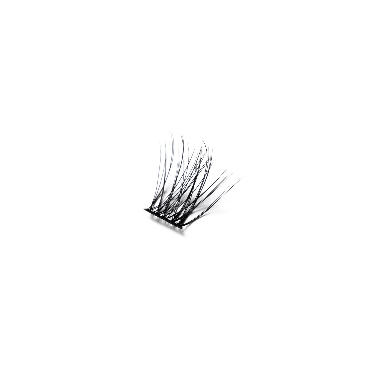 LASH EASE | 2 PACK